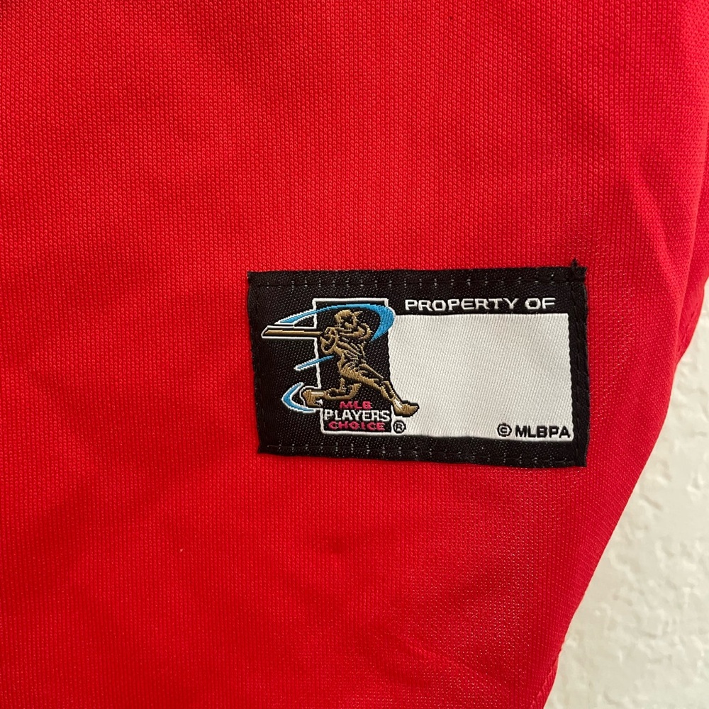 Dog Jersey - Picture 3 of 6
